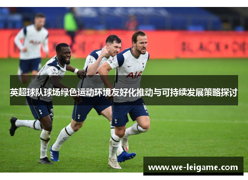 英超球队球场绿色运动环境友好化推动与可持续发展策略探讨