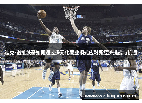 迪克·诺维茨基如何通过多元化商业模式应对新经济挑战与机遇