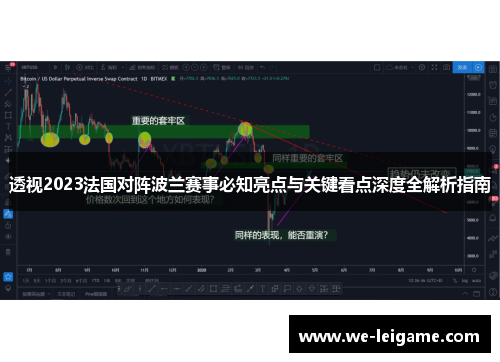 透视2023法国对阵波兰赛事必知亮点与关键看点深度全解析指南